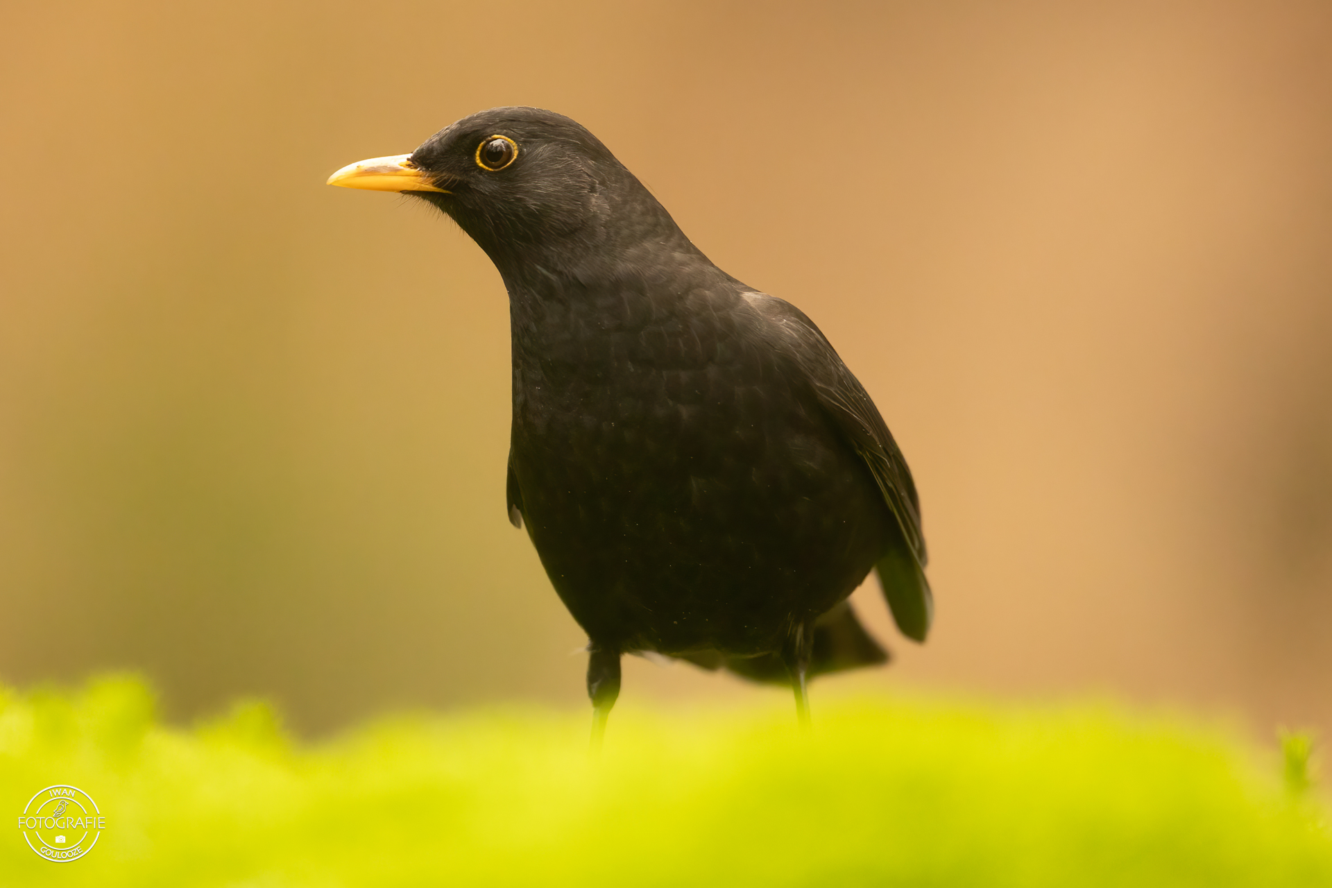 23 oktober 2022 124913 1R2A0417 bewerkt